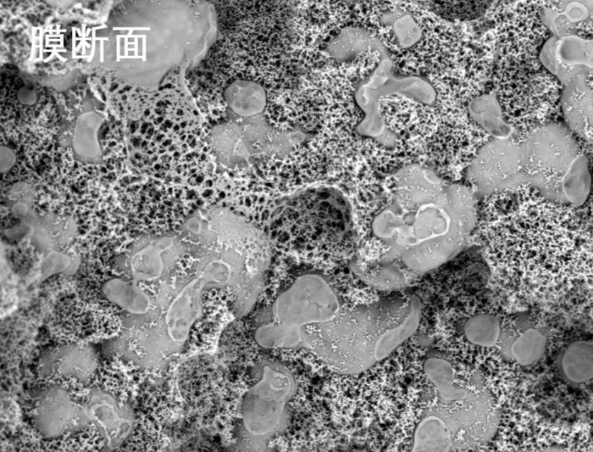 bc贷烧结管式膜电镜照片